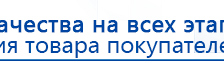 ДЭНАС-ПКМ (Детский доктор, 24 пр.) купить в Электростали, Аппараты Дэнас купить в Электростали, Дэнас официальный сайт denasolm.ru